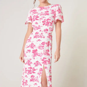 Ainsley Meadow Toile Bloom Midi Dress